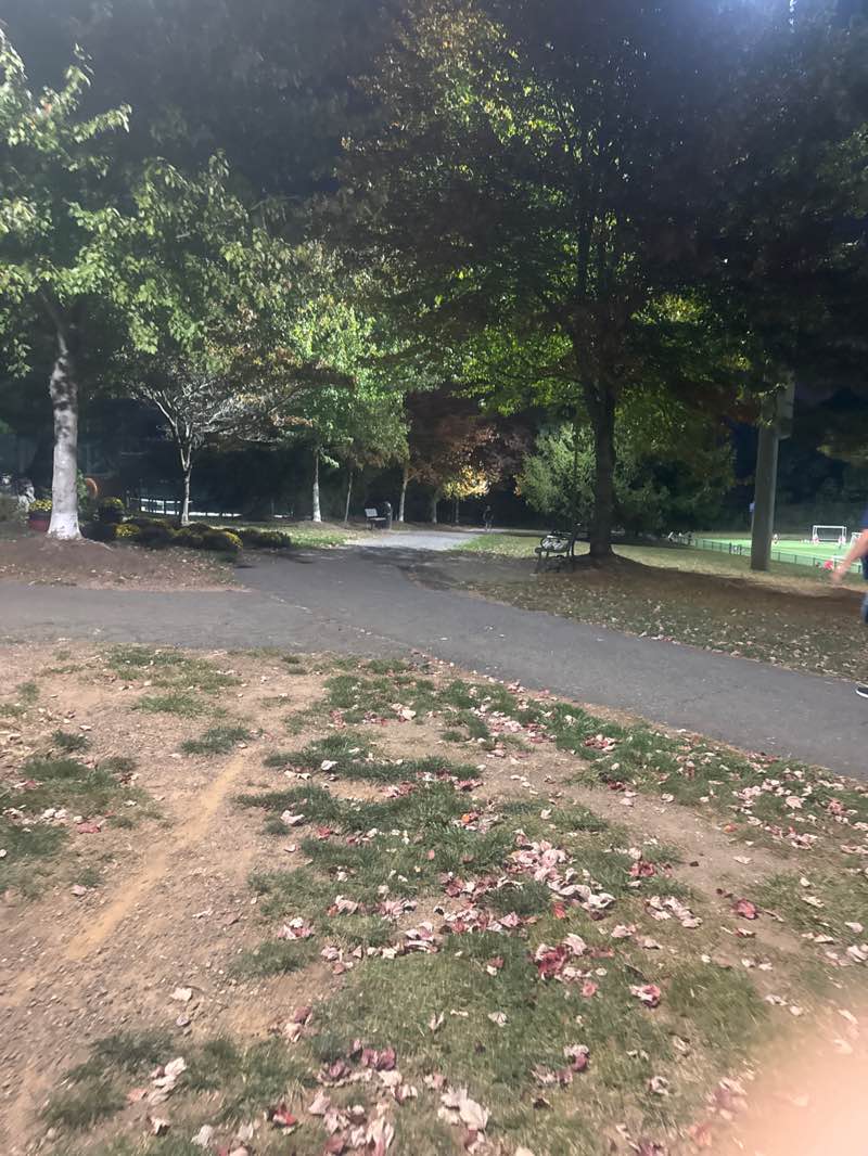 walking near me in Matthew G. Kantor Memorial Park in autumn