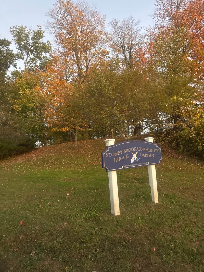 walking near me in Stoney Brook Park in autumn