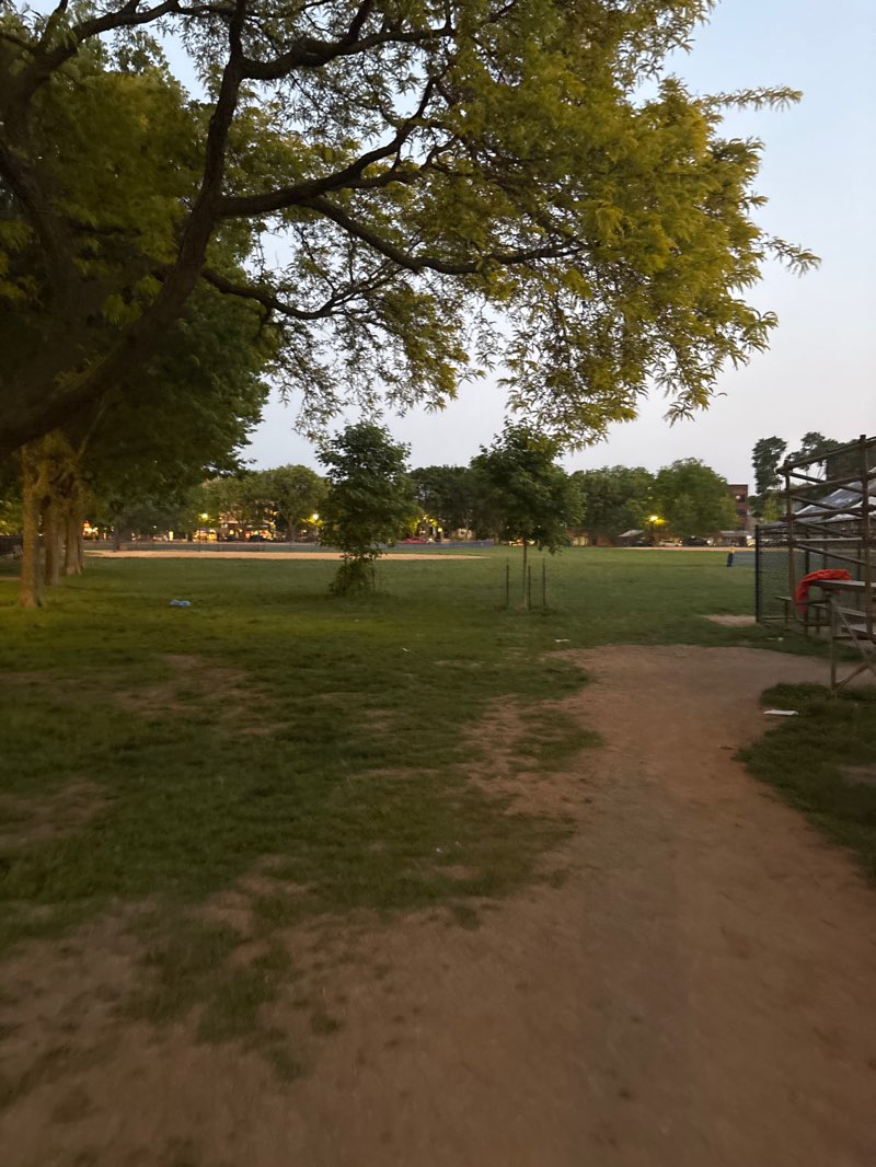 walking near me in Welles Park in summer