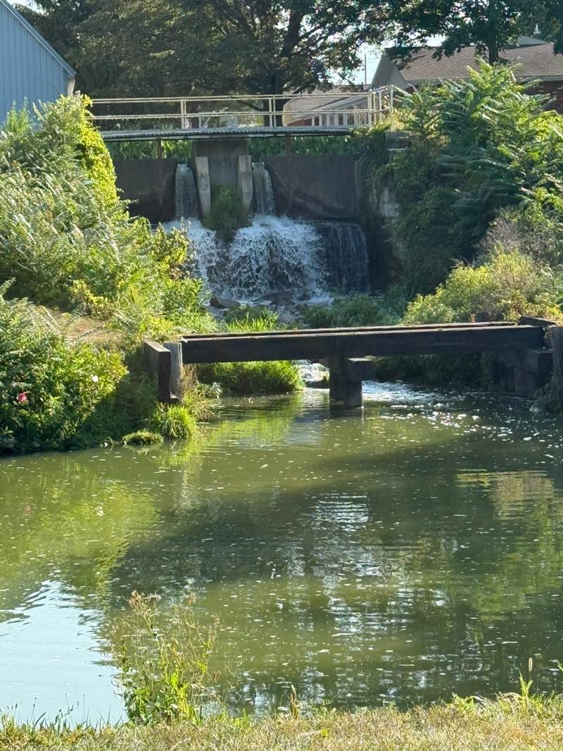 walking near me in Mill Park in autumn