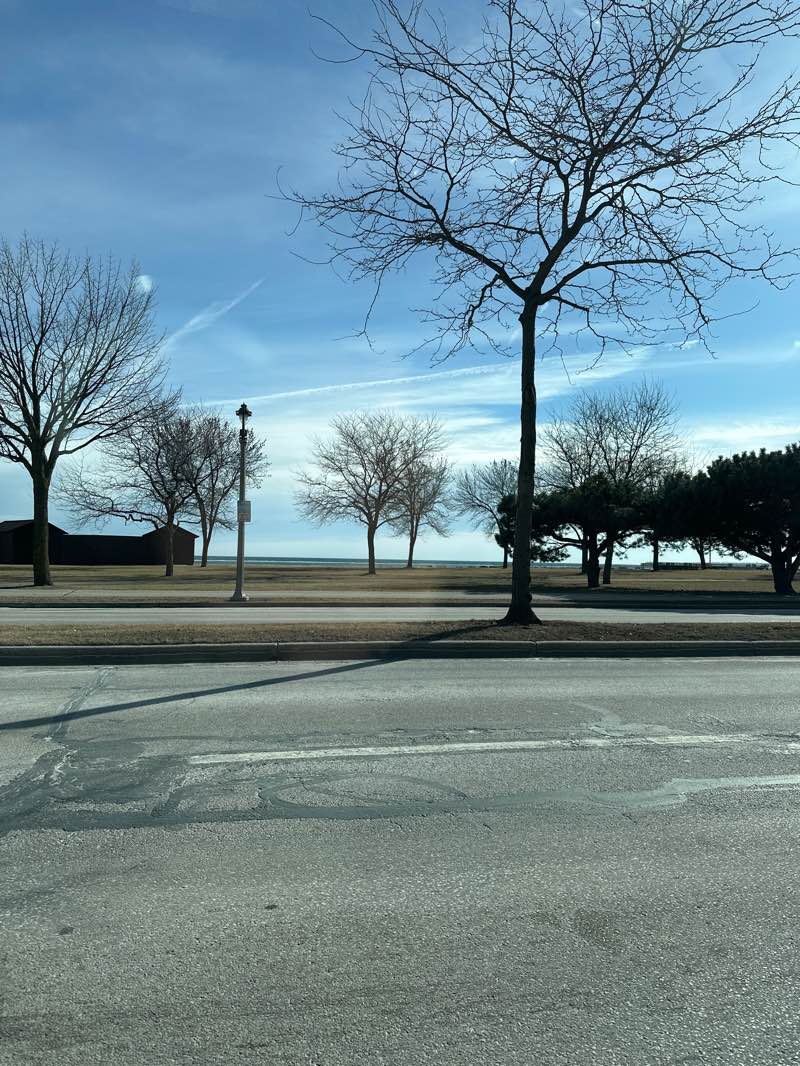 walking near me in McKinley Park in winter