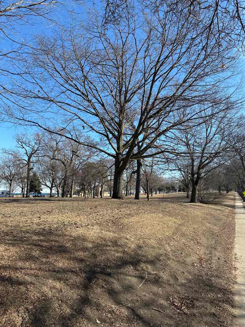 walking near me in South Shore Park in winter