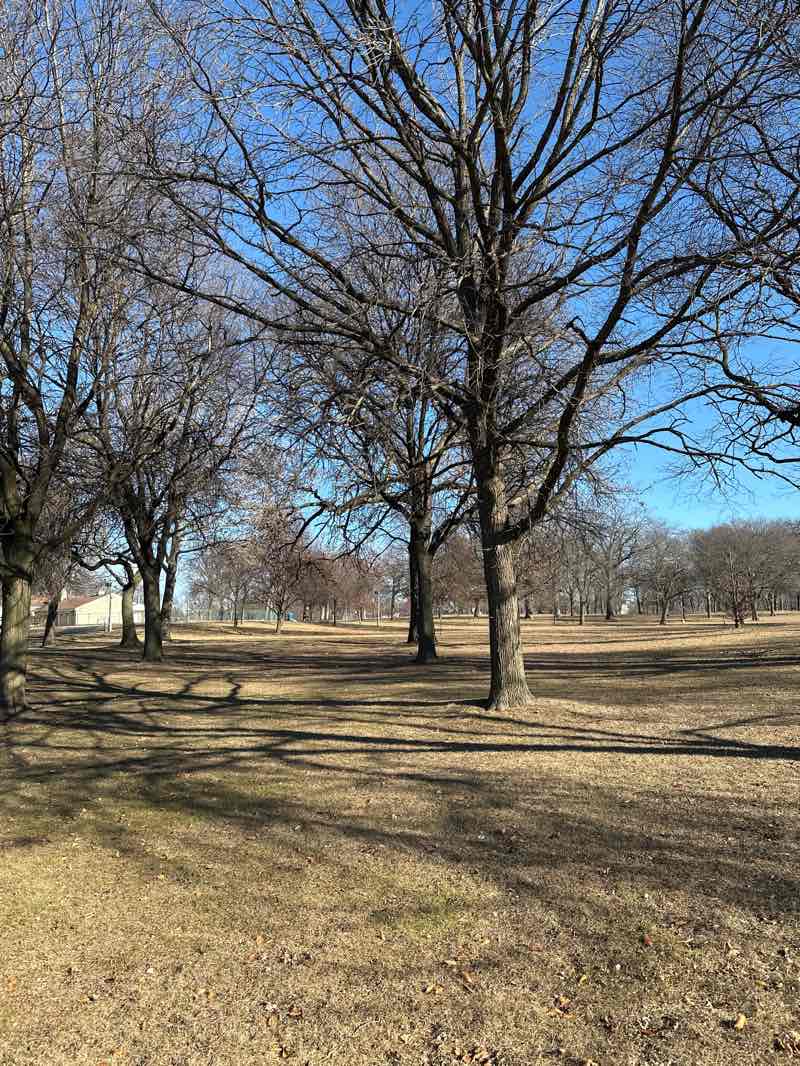 walking near me in Humboldt Park in winter