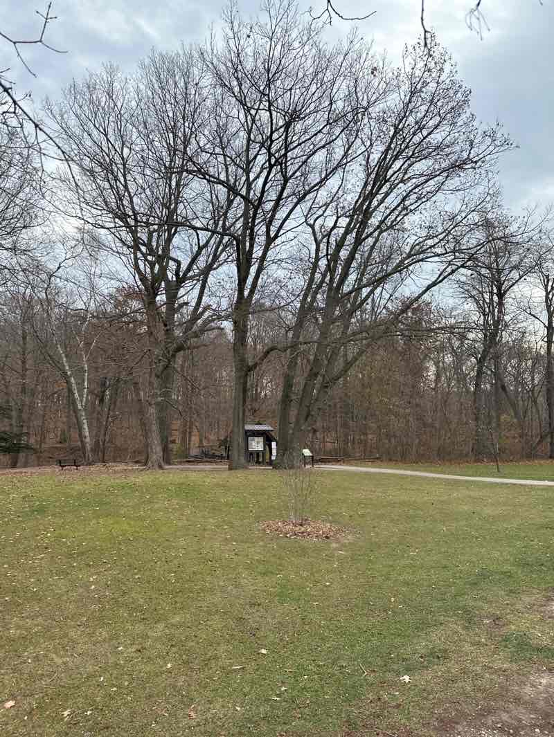 walking near me in Grant Park in autumn