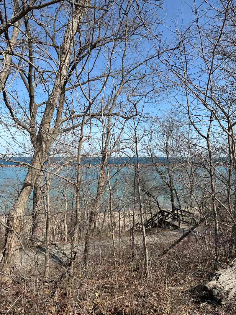 walking near me in Bay View Park in spring