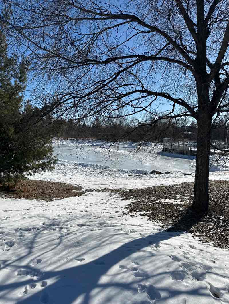 walking near me in Strachauer Park in winter