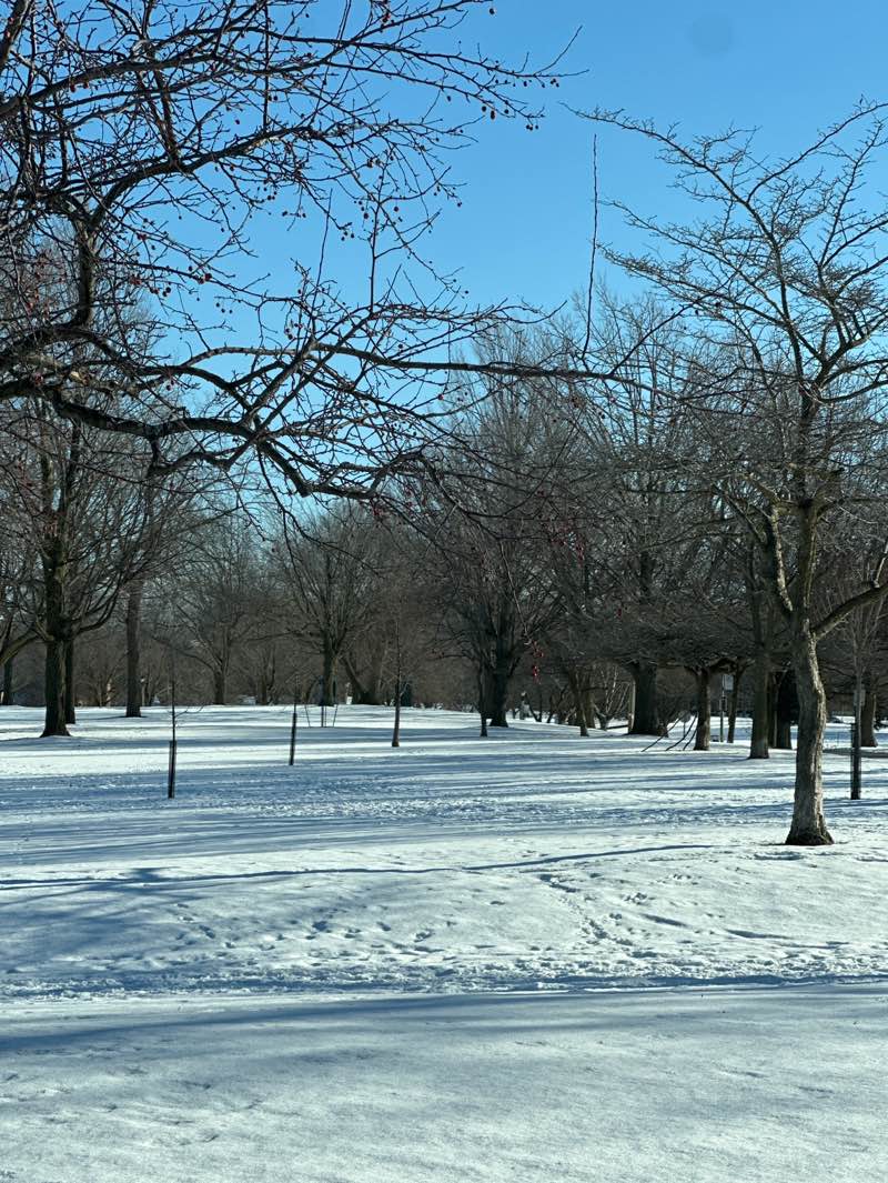 walking near me in South Shore Park in winter
