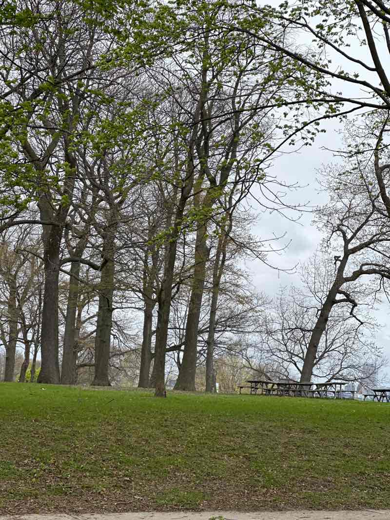 walking near me in South Shore Park in spring