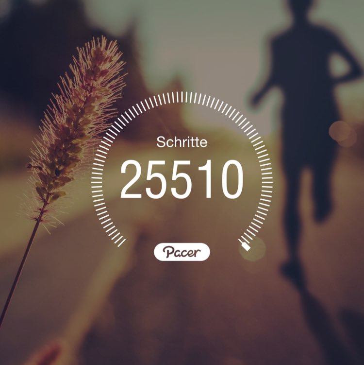 Bruno 🏃🏻‍♂️💨 post 1