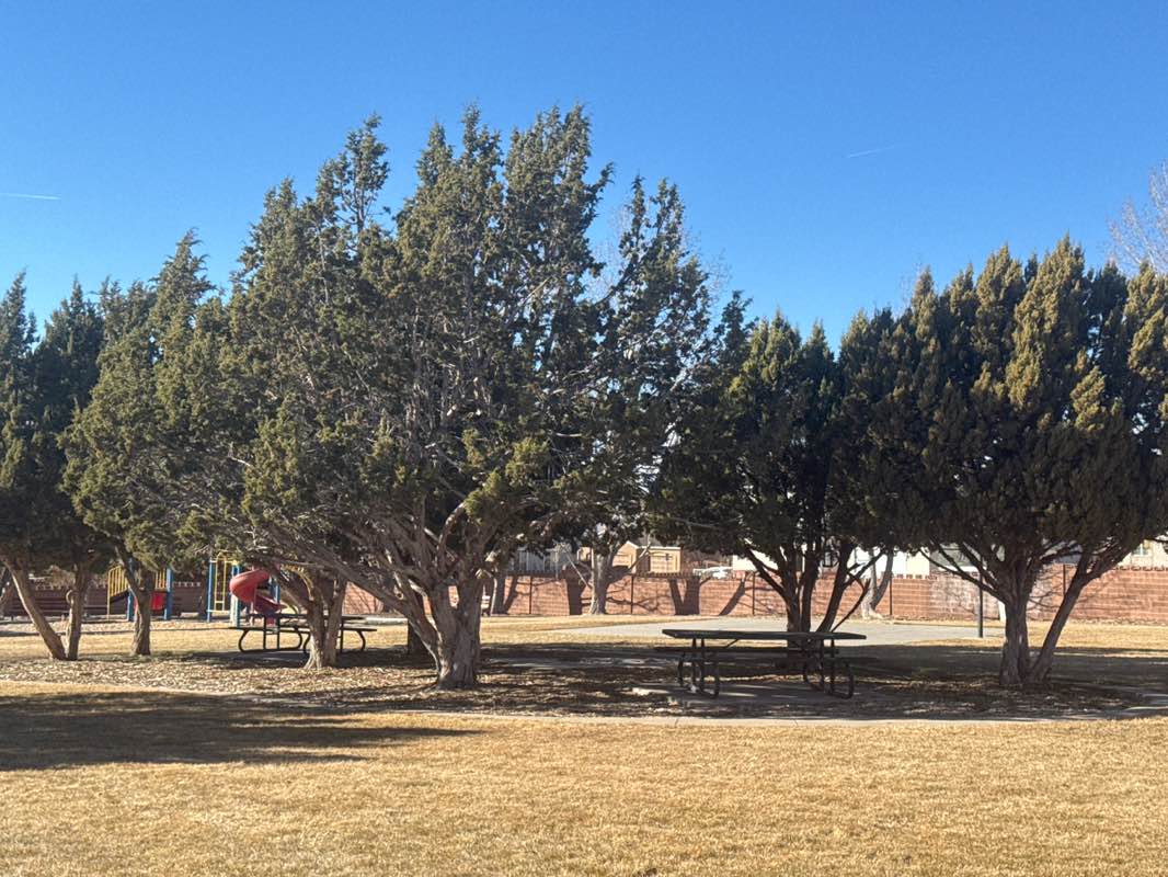walking near me in Hillcrest Park in winter