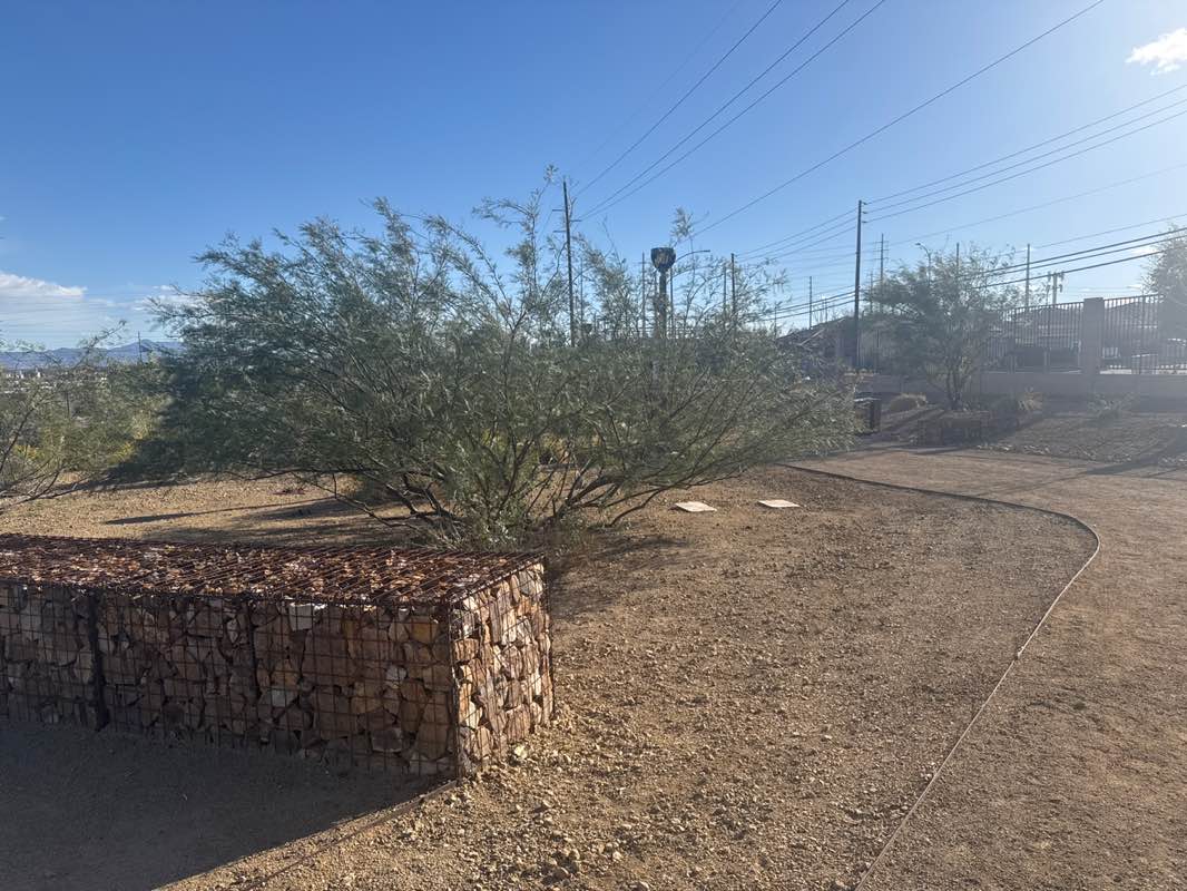 walking near me in Kiel Ranch in spring