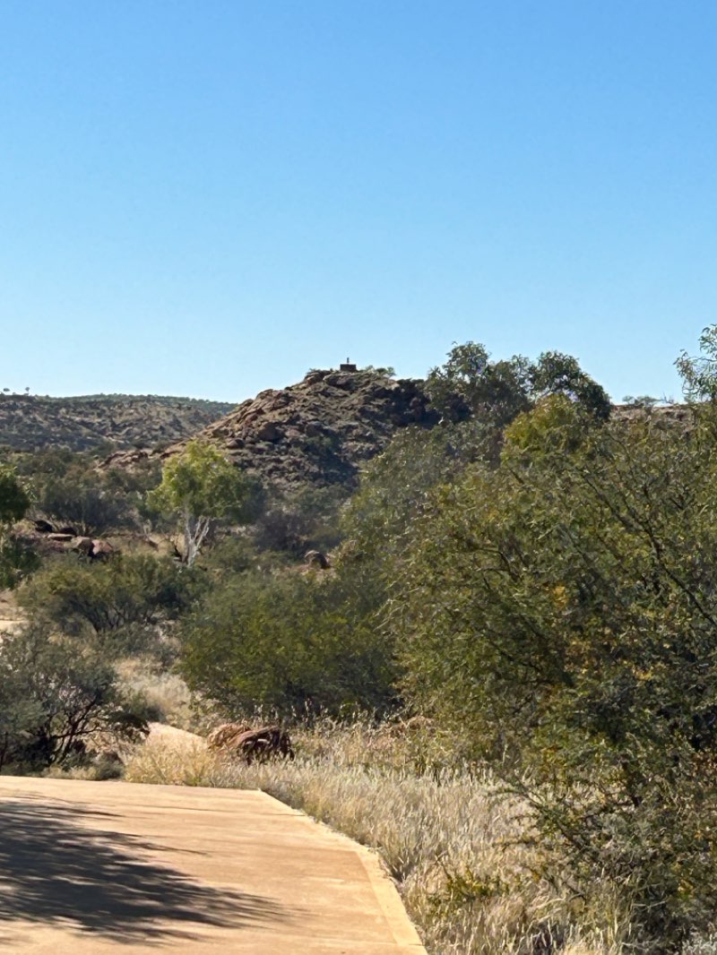 walking near me in Davidson Park in summer