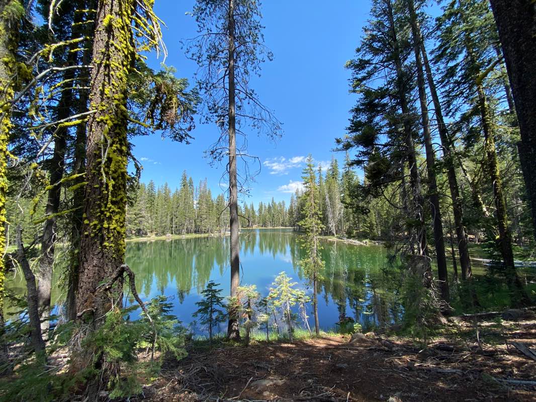 walking near me in Caribou Wilderness in winter