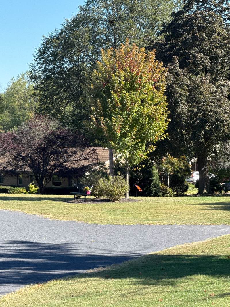 walking near me in Antietam Athletic Field in autumn