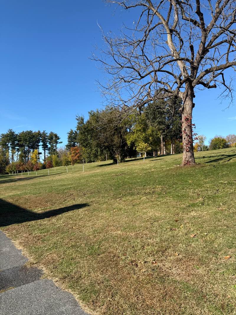 walking near me in Schlegel Park in autumn