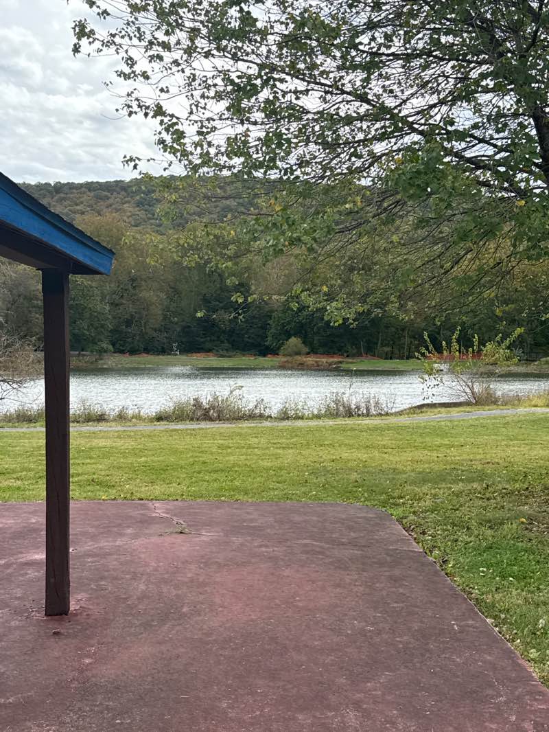 walking near me in Carsonia Park in autumn