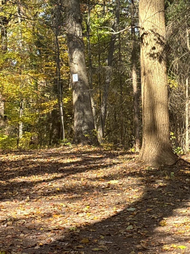 walking near me in Nolde Forest Environmental Education Center in autumn