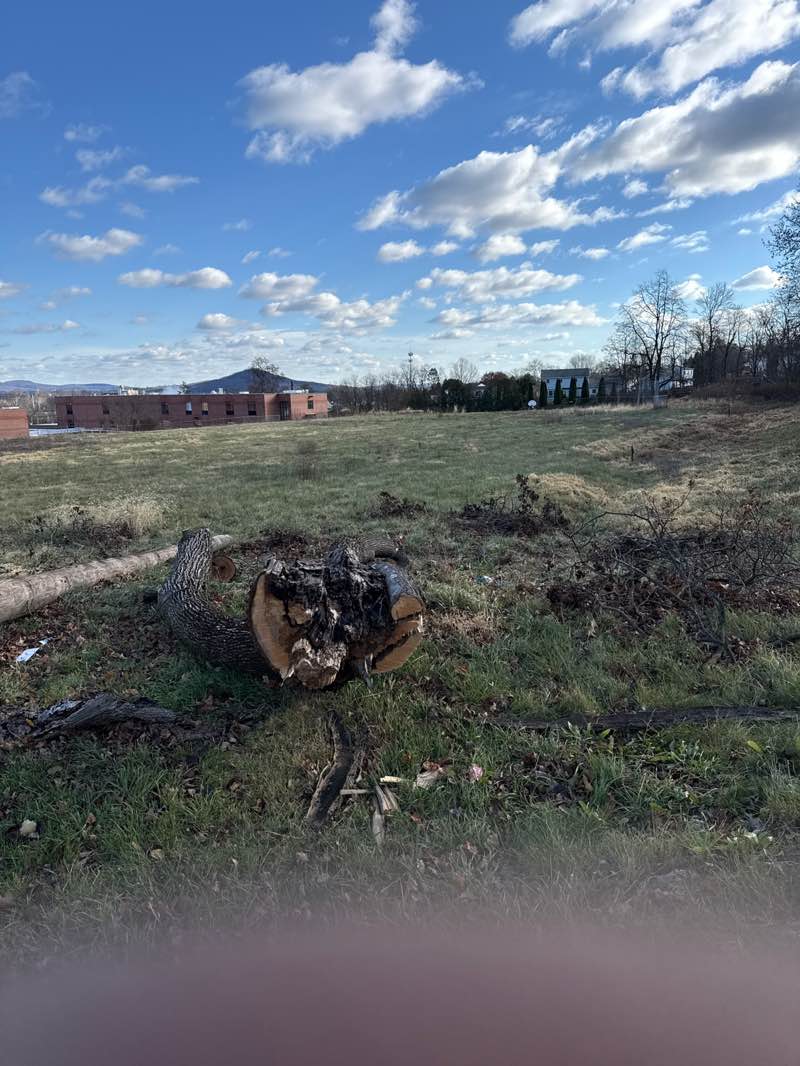 walking near me in Former Birdsboro Elementary Park in autumn