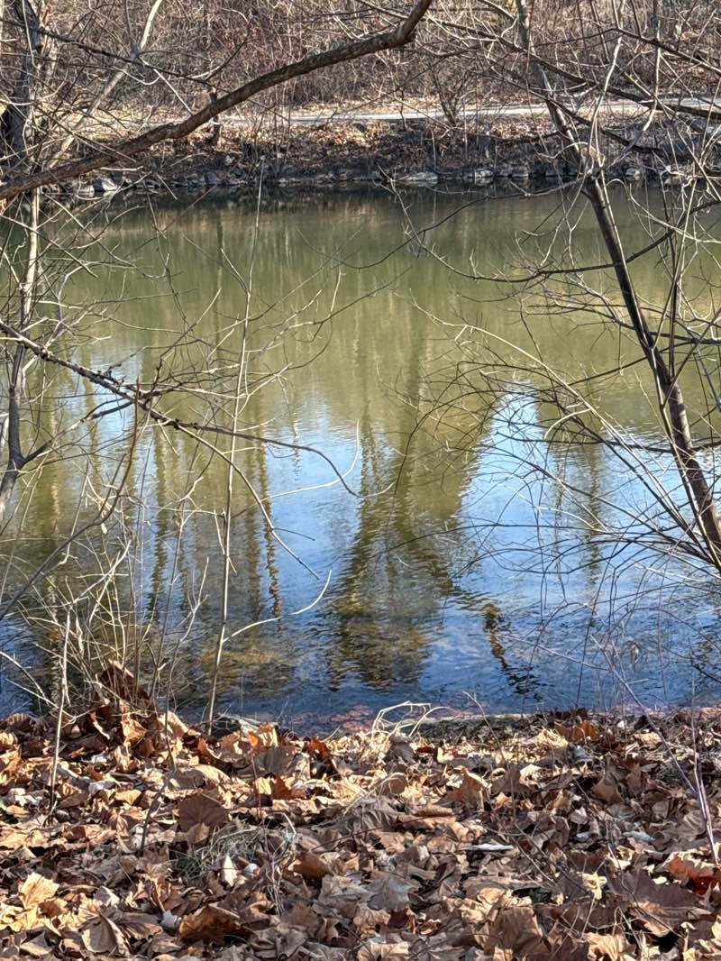 walking near me in Berks Leisure Area in spring