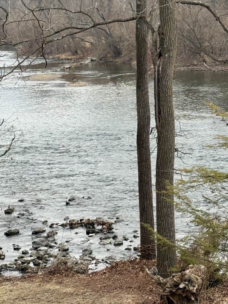 walking near me in Red Bridge Park in spring