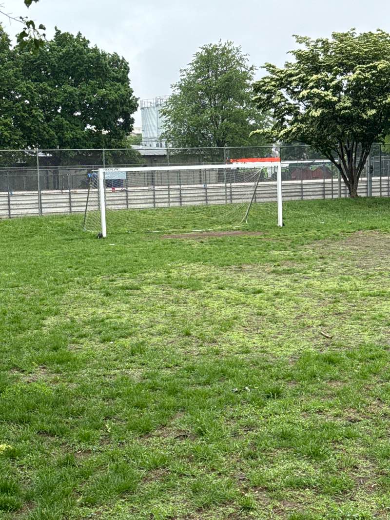 walking near me in 3rd and Spruce Park in spring