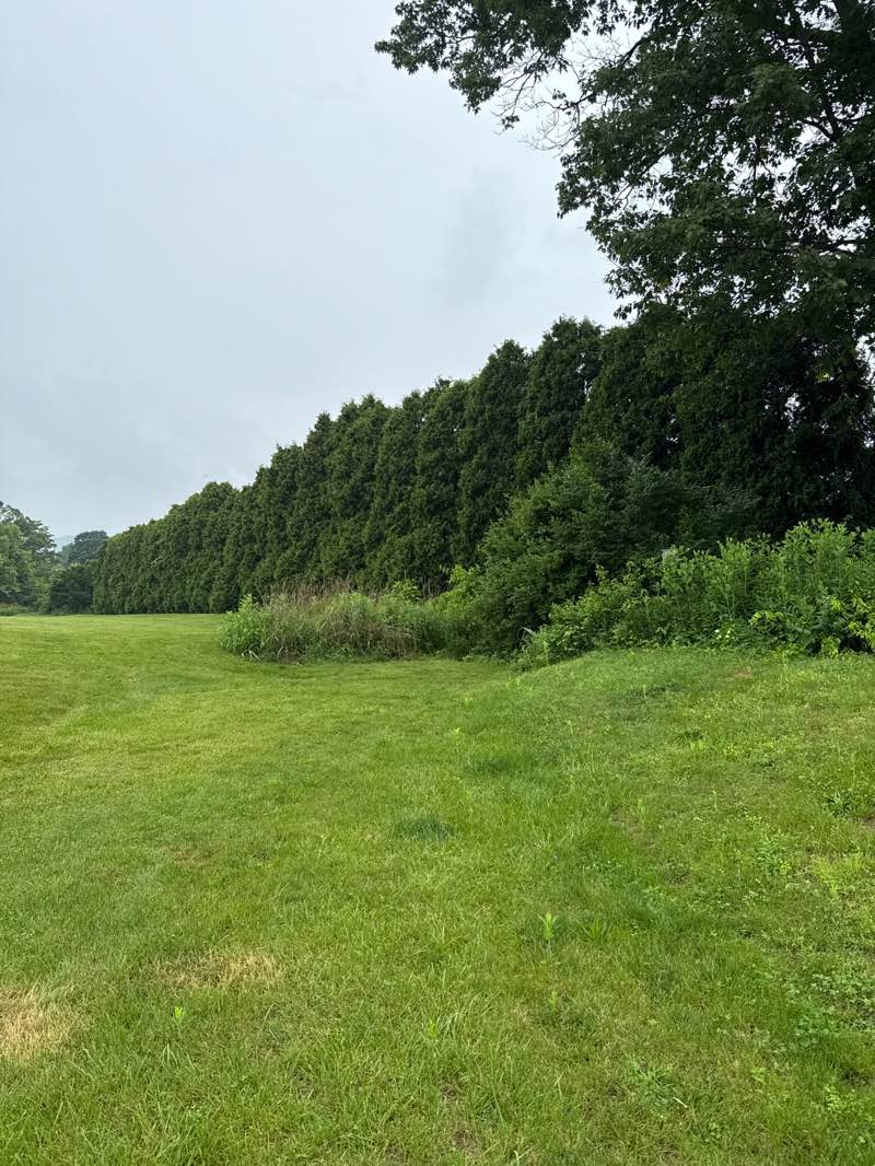 walking near me in Riverdale Meadows Park in summer