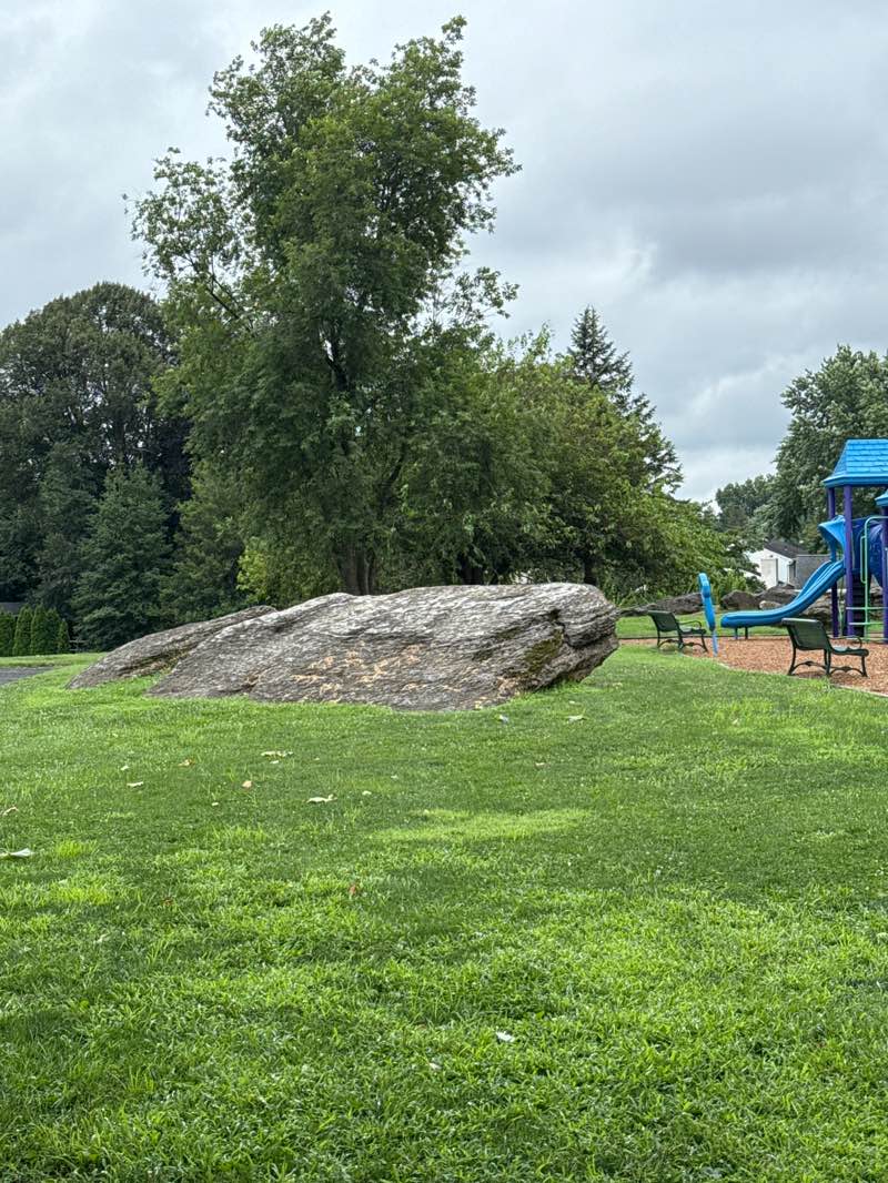 walking near me in Drexelwood Park in autumn