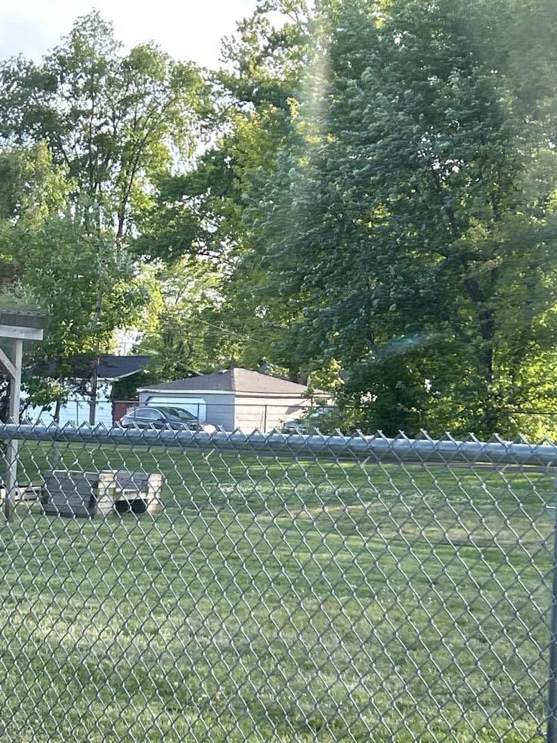 walking near me in Boak Park in summer