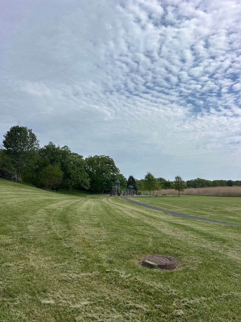 walking near me in Oak Tree Park in summer
