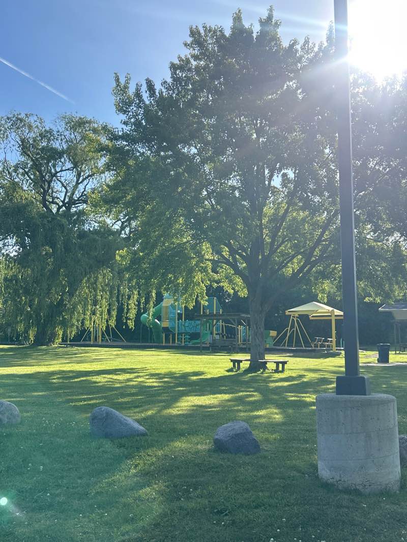 walking near me in Hamlet Park in summer