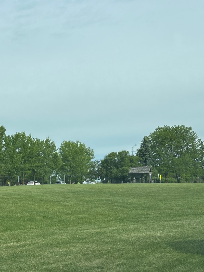 walking near me in Mill Creek Park in summer