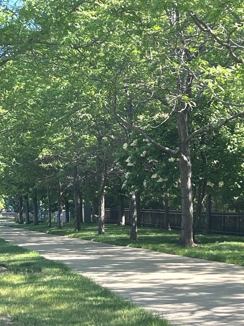 walking near me in Haig Paravonian Park in summer
