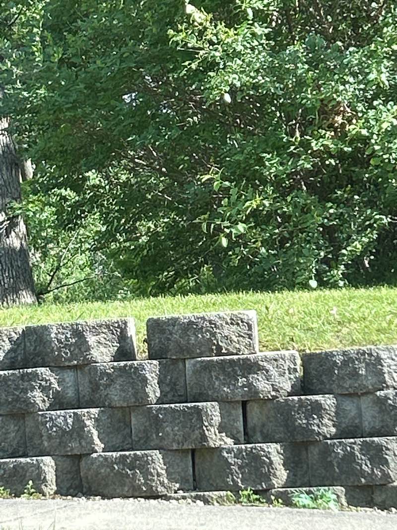 walking near me in Park in the Glen in summer
