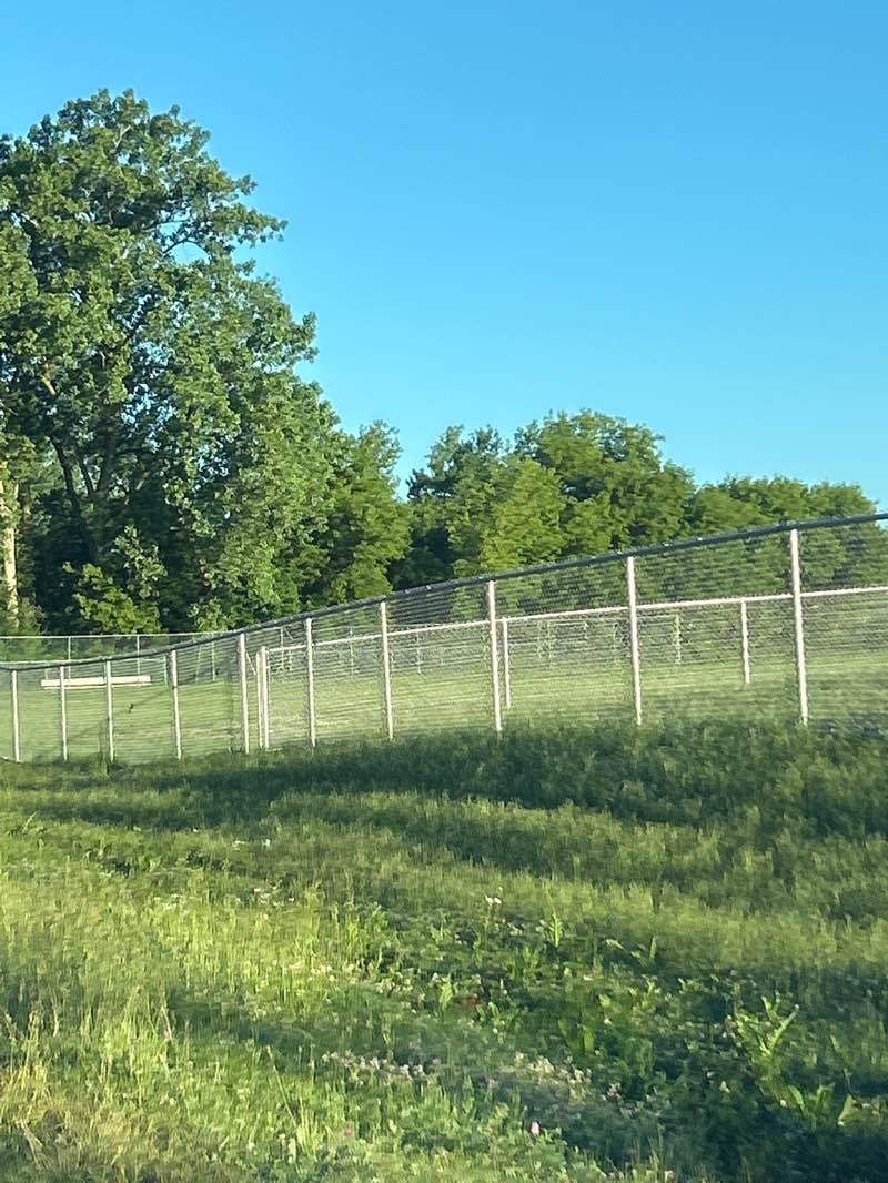 walking near me in Beach Park in summer