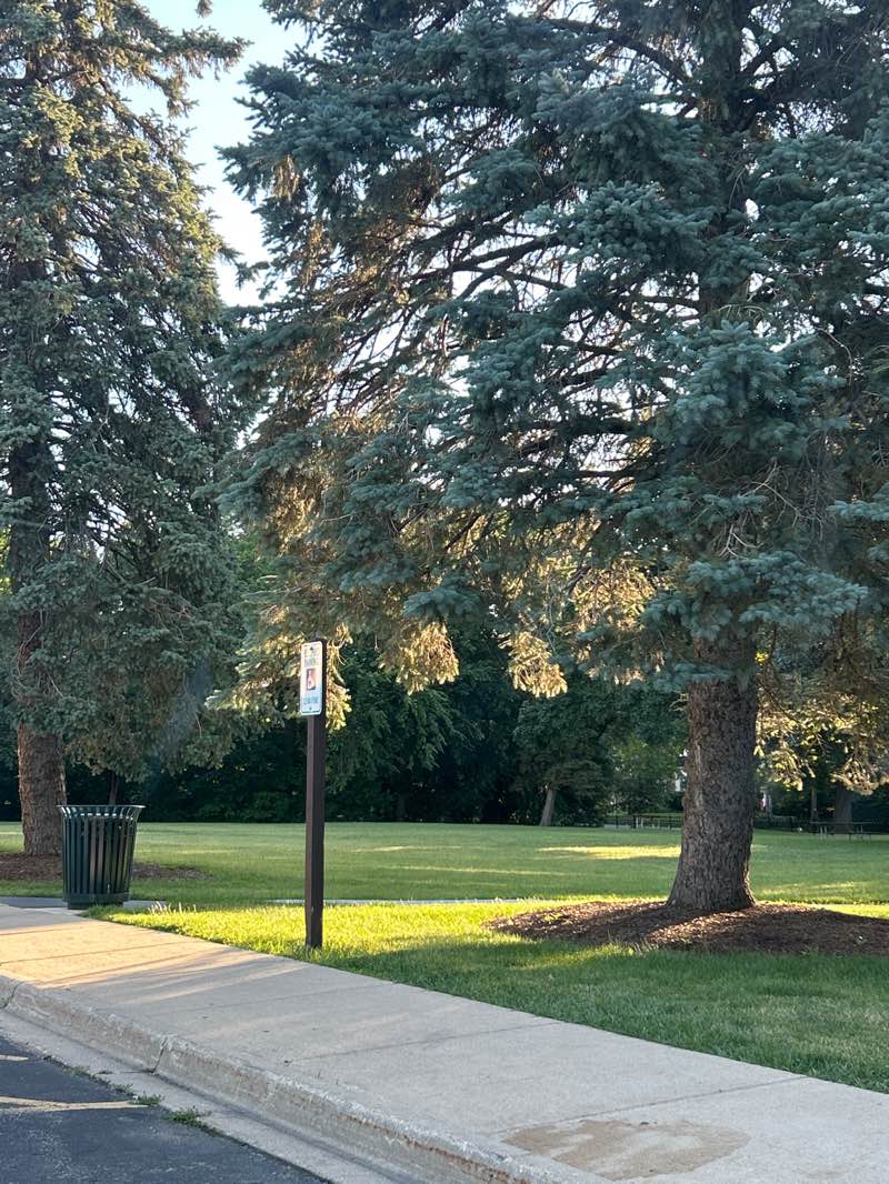 walking near me in Upton Park in summer