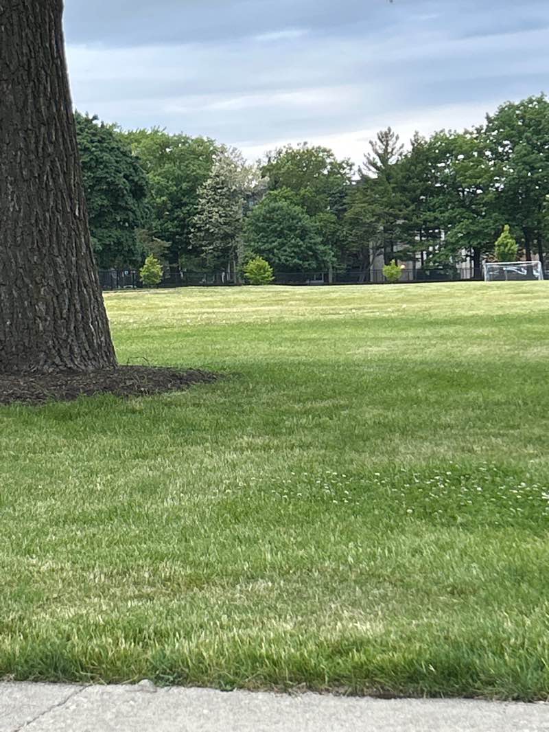 walking near me in Victory Park in summer