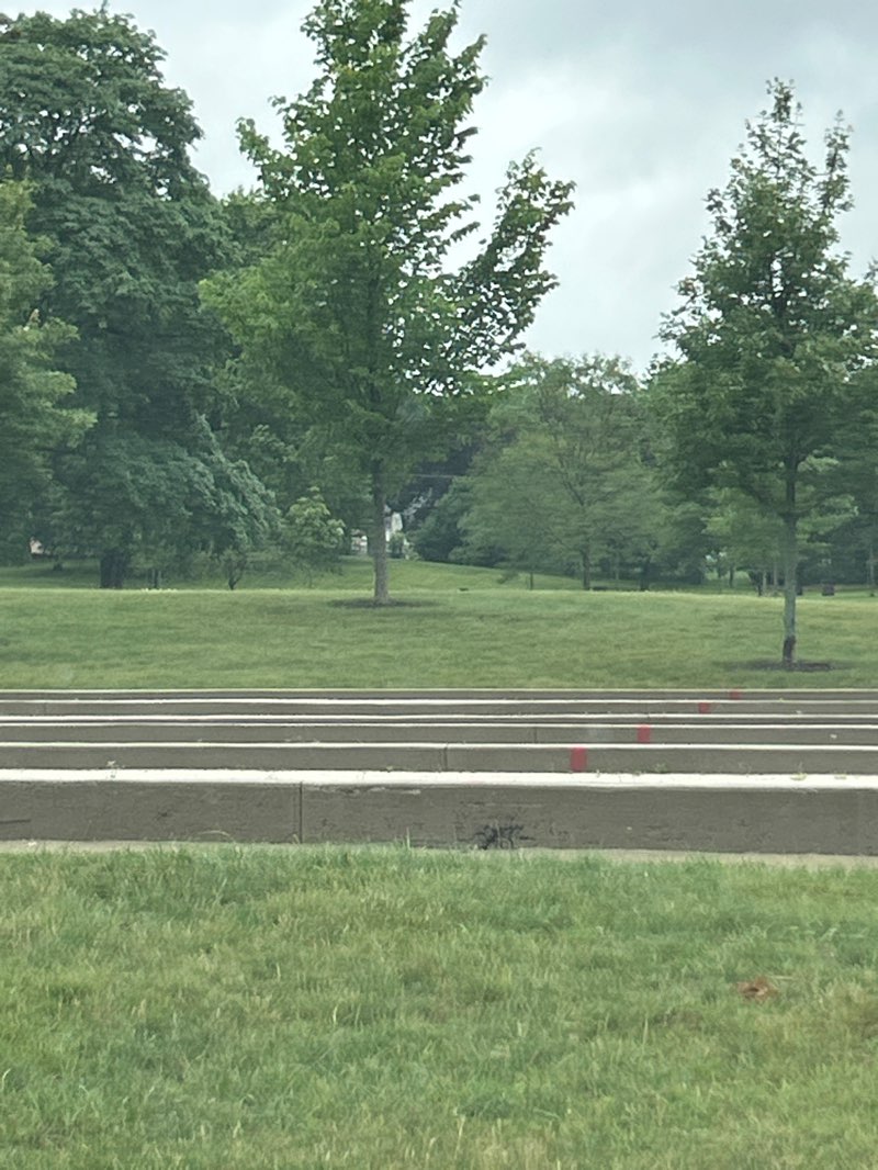 walking near me in Belvidere Park in summer