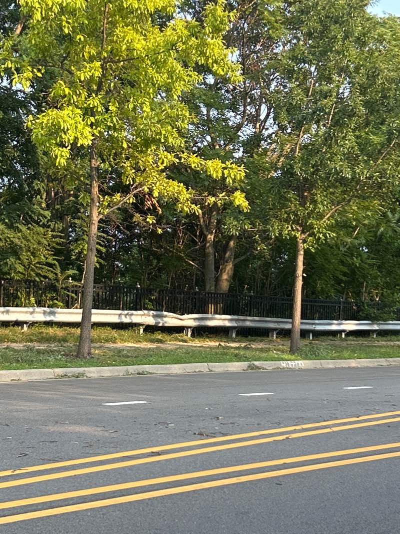 walking near me in Amstutz Park in summer