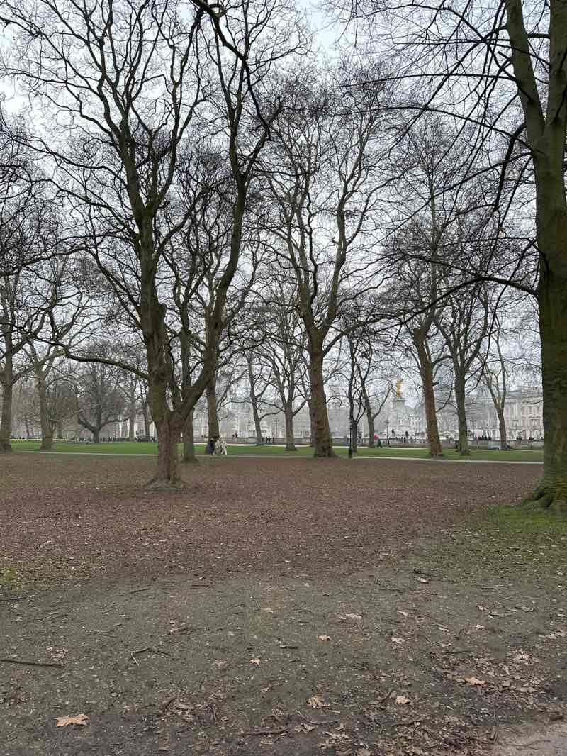 walking near me in The Green Park in spring