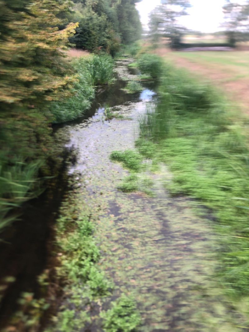 walking near me in Wietzepark in winter