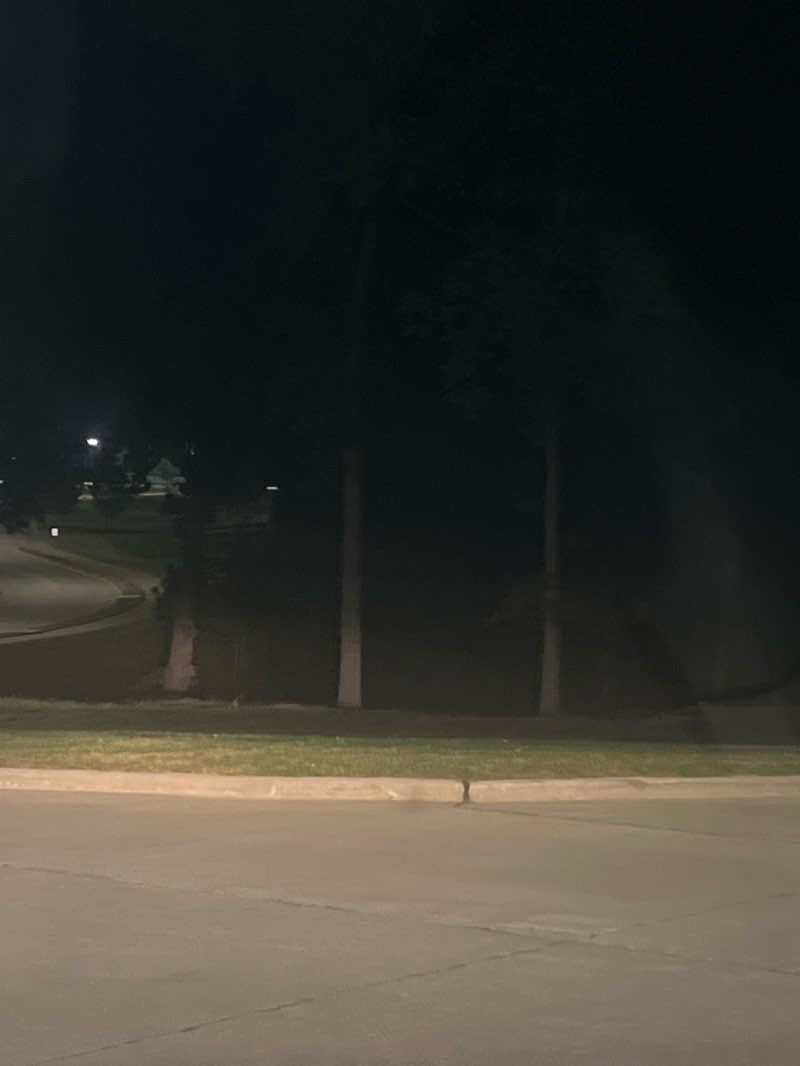 walking near me in Scott Ampitheater in autumn