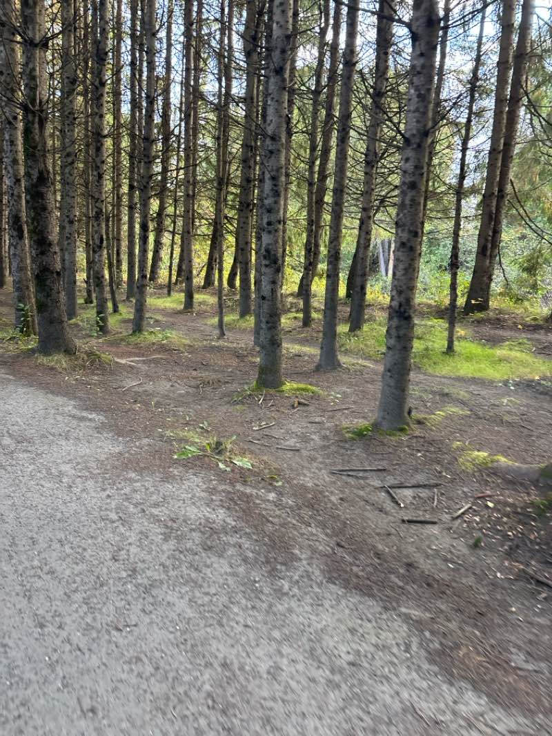 walking near me in Ayers Cliff Exposition Grounds in winter