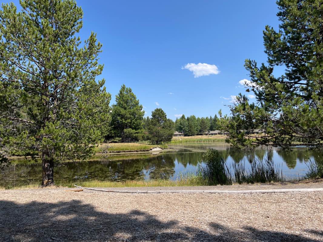 walking near me in Mary McCallum Park in winter