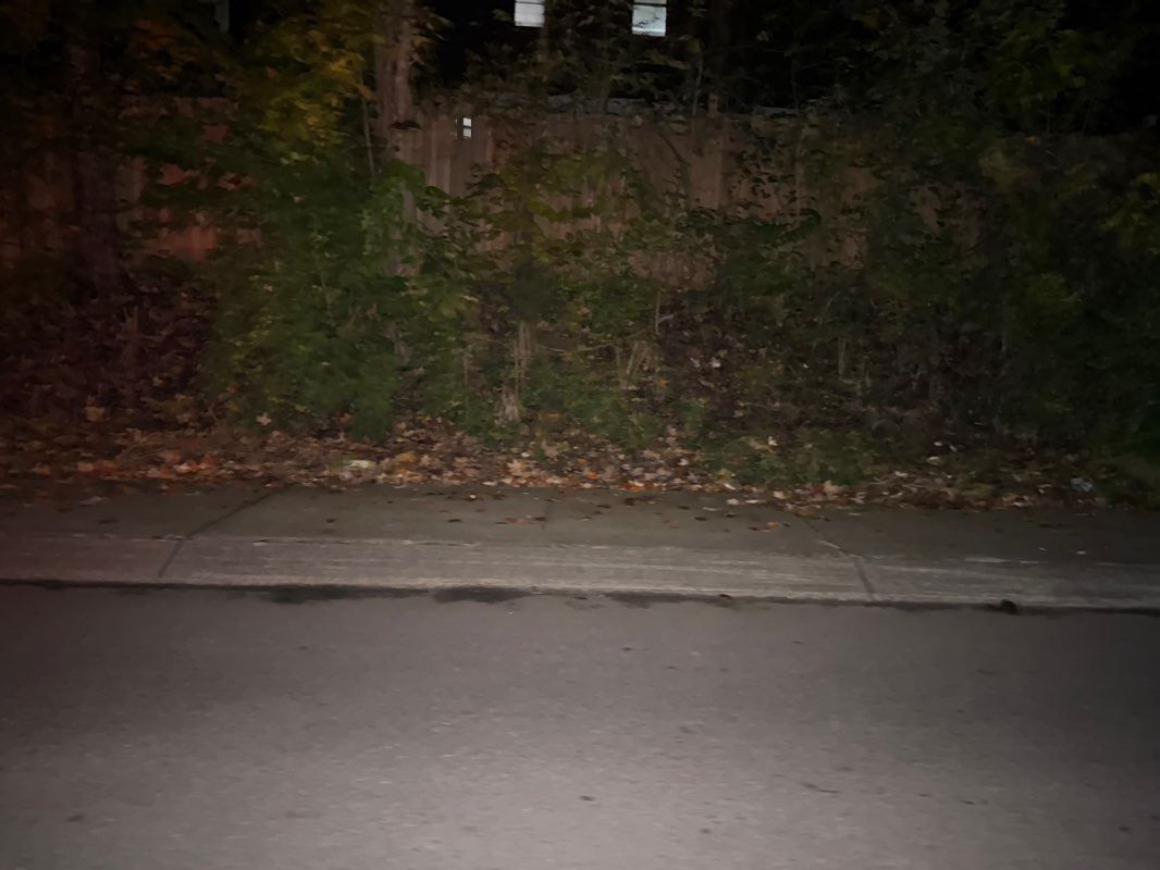 walking near me in Paul Johns Neighborhood Park in autumn