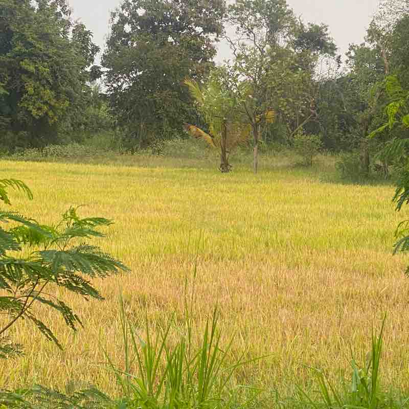 Nalinda🚵🏻‍♂️🏋️‍♀️🏃🏾‍♂️🏃🏾‍♂️🏃🏾‍♂️🏃🏾‍♂️🏃🏾‍♂️🏃🏾‍♂️🏃🏾‍♂️ post 2