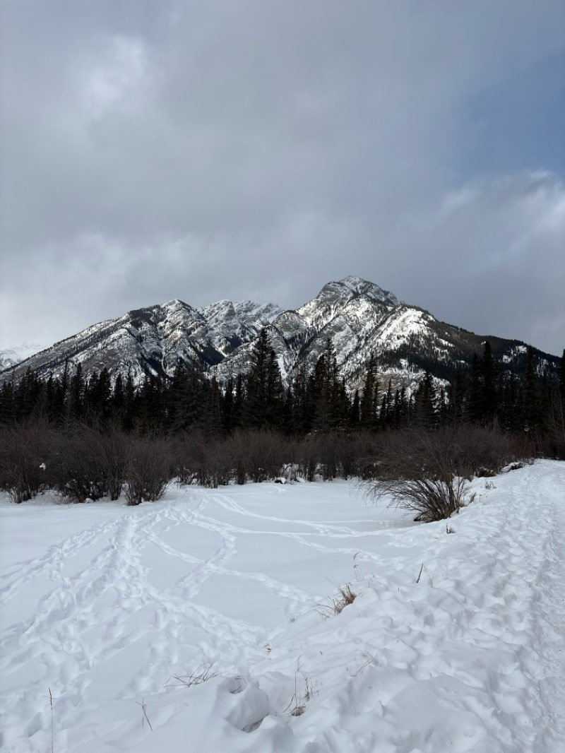 walking near me in Banff Recreational Grounds in winter