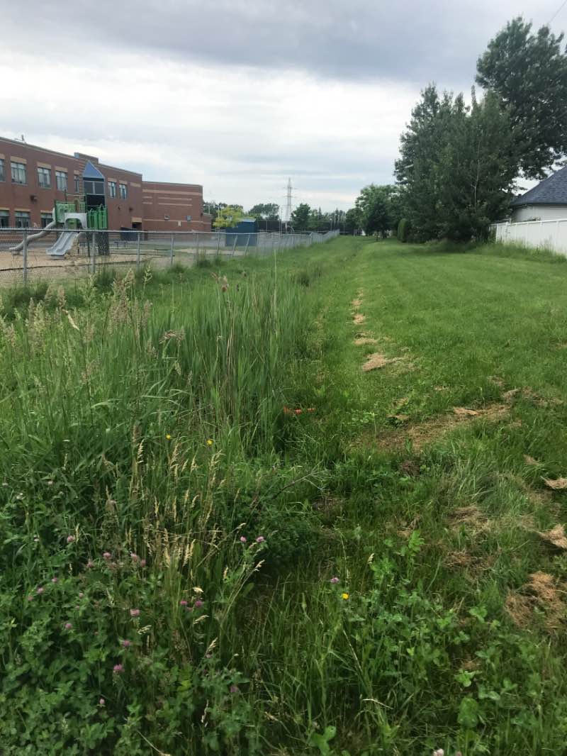 walking near me in Parc Paul-Stevens in winter
