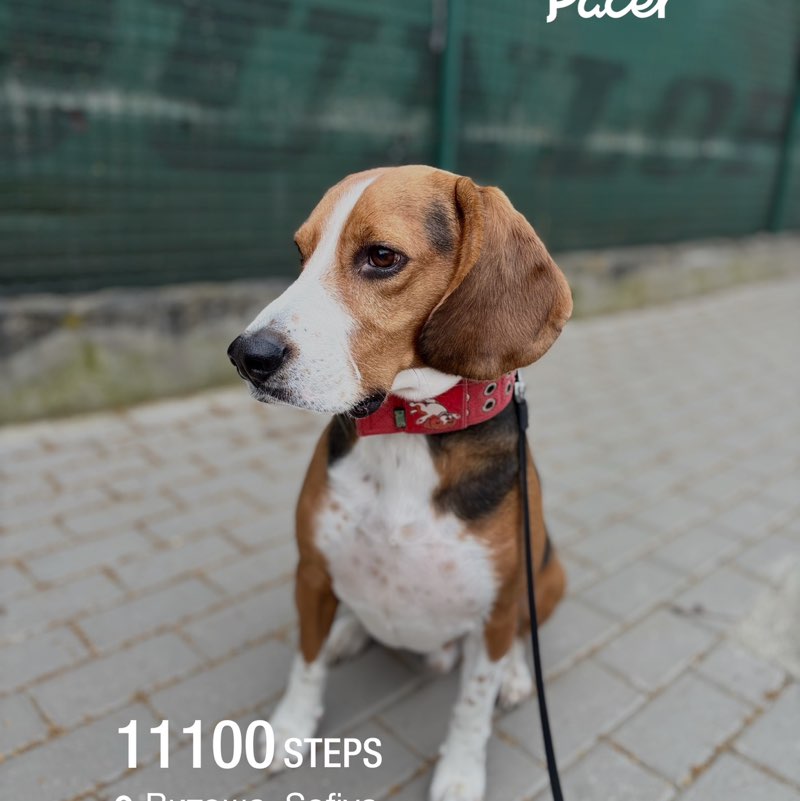 Joana 🇧🇬 post 2