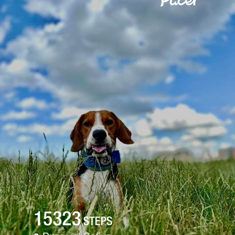 Joana 🇧🇬 post 2