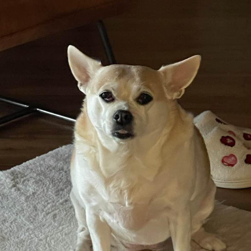 PacerPal post 1